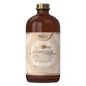 Sky Premium L-Carnitine Oral Solution with Carnitine & B Complex Vitamins Orange Flavor 480 ml